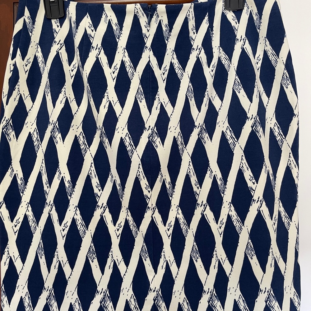 Elegant Blue and White Patterned Skirt